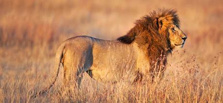 Los 8 verdaderos motivos para rechazar el veganismo