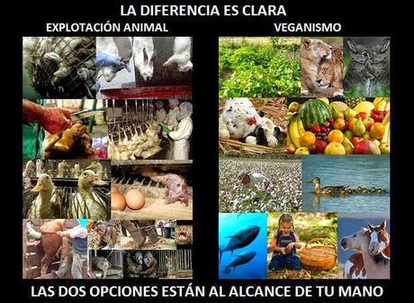 Los 8 verdaderos motivos para rechazar el veganismo