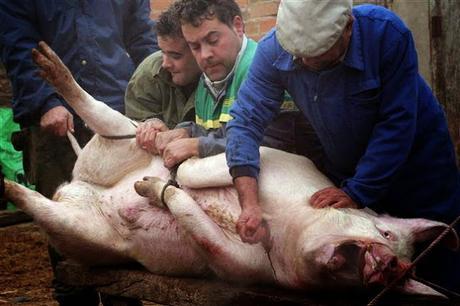 Los 8 verdaderos motivos para rechazar el veganismo