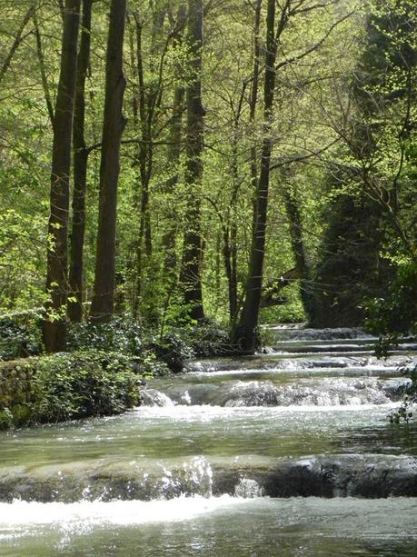 MONASTERIO DE PIEDRA - LUGARES ESPECIALES 1