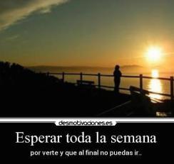 Fines de semana alternos …