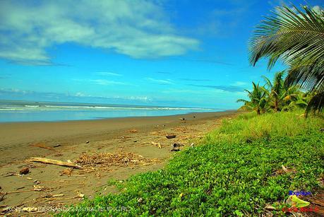 Playa Palo Seco -Parrita de Puntarenas-