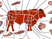 Partes usos carne ternera