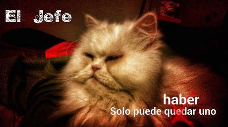 Estamos tan Agustito XCVII. Solo puede haber uno... #funny estamos tan agustito