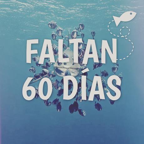 11250072_10155591771765265_416553838637170774_n