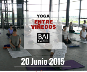 yoga entre viñedos_baja