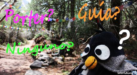Porter/guía/ninguno de los dos?