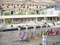 Yo no puedo callar...