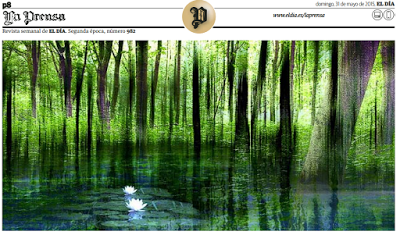 ¿Su hijo/a no se concentra? Los beneficios del mindfulness #InteligenciaEmocional