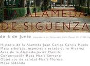 Jornadas alameda sigüenza