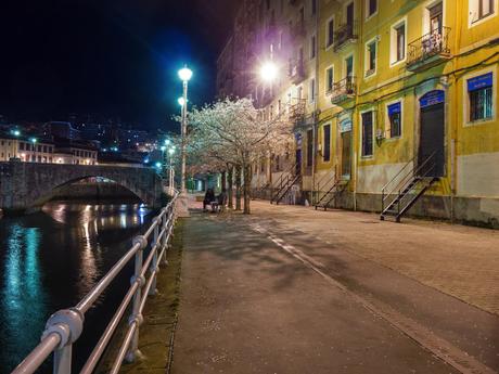 Hanami nocturna en Bilbao