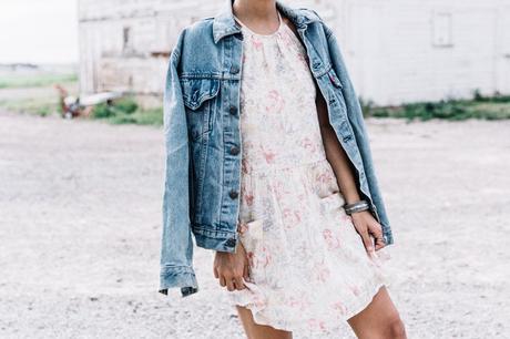 Collage_Vintage_On_The_Road-Idaho-Floral_Dress-Denim_Jacket-Urban_Outfitters-Levis-Outfit-Twin_Falls-8