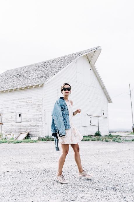 Collage_Vintage_On_The_Road-Idaho-Floral_Dress-Denim_Jacket-Urban_Outfitters-Levis-Outfit-Twin_Falls-45