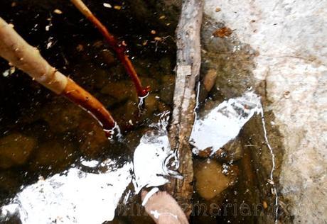 El nacimiento del río Palancia y el Estrecho del Cascajar, senderismo espectacular en Castellón