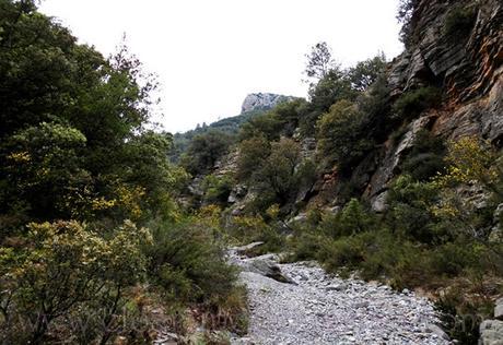 Y nos damos cuenta que el paisaje se ve de diferente forma. Y el estrecho del Cascajar, también. No hay que trepar tanto por la piedra, sino dejarte deslizar por ella. Una vez superado este tramo regresamos a la pista forestal por donde el camino es más fácil, incluso lloviendo. 