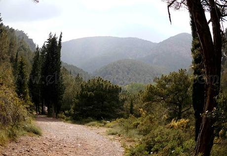 Y nos damos cuenta que el paisaje se ve de diferente forma. Y el estrecho del Cascajar, también. No hay que trepar tanto por la piedra, sino dejarte deslizar por ella. Una vez superado este tramo regresamos a la pista forestal por donde el camino es más fácil, incluso lloviendo. 