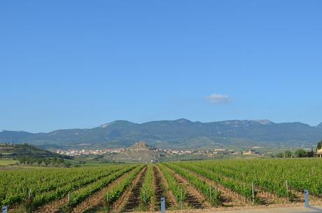 Escapada a la Rioja.