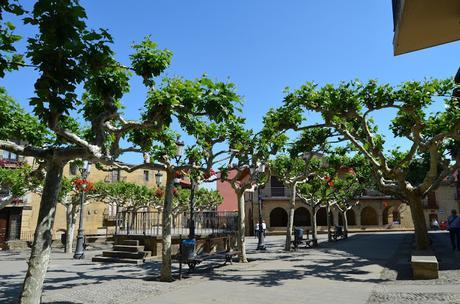 Escapada a la Rioja.