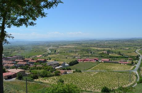 Escapada a la Rioja.