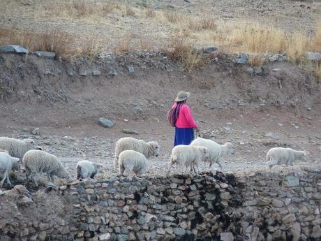 Yavi, Jujuy