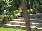 Disfrutando Jardín Enjoying Garden