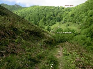 Pigüeña-Pigüeces-Pico del Prao del Niseiro (El Rubio)