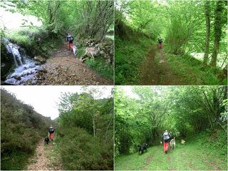 Pigüeña-Pigüeces-Pico del Prao del Niseiro (El Rubio)