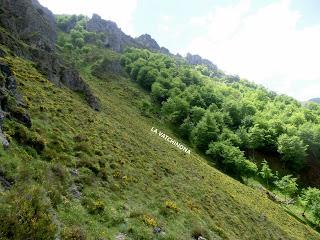 Pigüeña-Pigüeces-Pico del Prao del Niseiro (El Rubio)