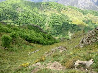 Pigüeña-Pigüeces-Pico del Prao del Niseiro (El Rubio)