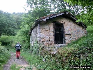 Pigüeña-Pigüeces-Pico del Prao del Niseiro (El Rubio)