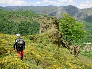 Pigüeña-Pigüeces-Pico del Prao del Niseiro (El Rubio)