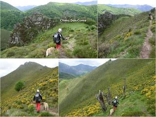 Pigüeña-Pigüeces-Pico del Prao del Niseiro (El Rubio)