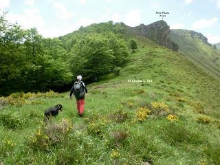 Pigüeña-Pigüeces-Pico del Prao del Niseiro (El Rubio)