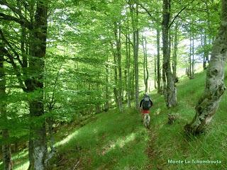 Pigüeña-Pigüeces-Pico del Prao del Niseiro (El Rubio)