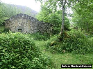 Pigüeña-Pigüeces-Pico del Prao del Niseiro (El Rubio)