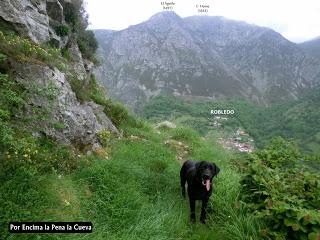 Pigüeña-Pigüeces-Pico del Prao del Niseiro (El Rubio)