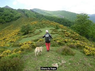 Pigüeña-Pigüeces-Pico del Prao del Niseiro (El Rubio)