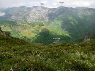 Pigüeña-Pigüeces-Pico del Prao del Niseiro (El Rubio)