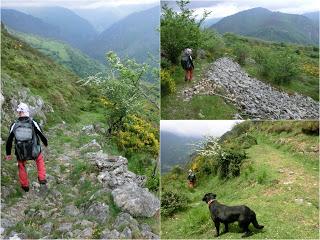 Pigüeña-Pigüeces-Pico del Prao del Niseiro (El Rubio)