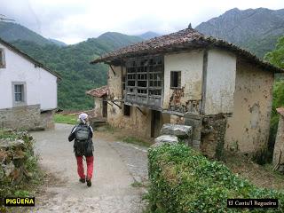 Pigüeña-Pigüeces-Pico del Prao del Niseiro (El Rubio)