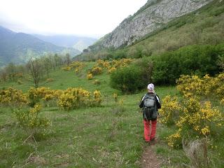 Pigüeña-Pigüeces-Pico del Prao del Niseiro (El Rubio)