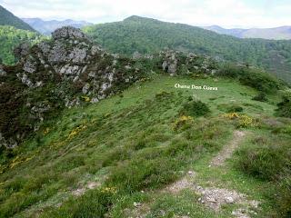 Pigüeña-Pigüeces-Pico del Prao del Niseiro (El Rubio)