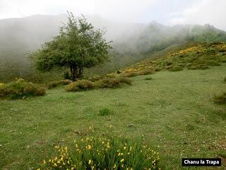 Pigüeña-Pigüeces-Pico del Prao del Niseiro (El Rubio)