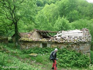 Pigüeña-Pigüeces-Pico del Prao del Niseiro (El Rubio)