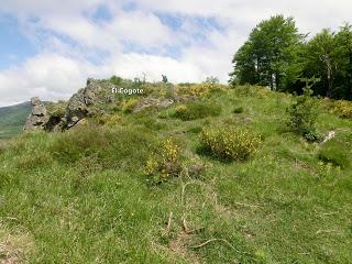 Pigüeña-Pigüeces-Pico del Prao del Niseiro (El Rubio)