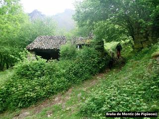 Pigüeña-Pigüeces-Pico del Prao del Niseiro (El Rubio)