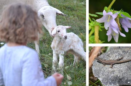 Campamento La Vinca | para niños de 6 a 12 años