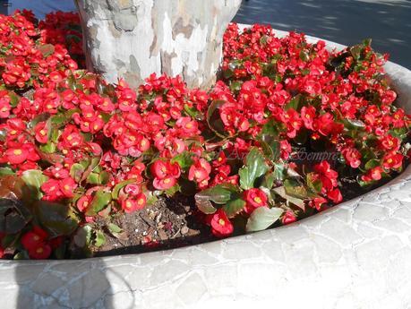 HERMES,A LA BARCELONA D' ABANS, D' AVUI I DE SEMPRE...2-06-2015...!!!