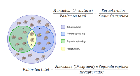 Estructura y dinámica de los ecosistemas