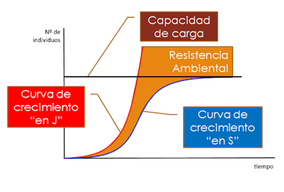 Estructura y dinámica de los ecosistemas